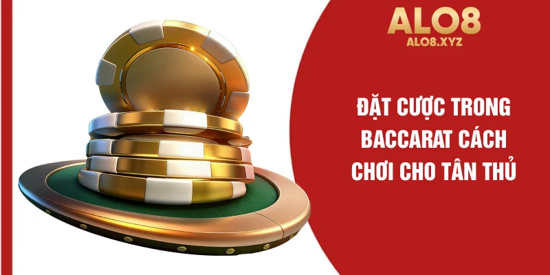 Đặt cược trong Baccarat cách chơi cho tân thủ
