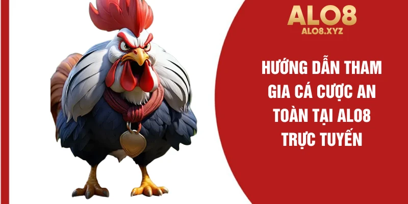 Hướng dẫn tham gia cá cược an toàn tại ALO8 trực tuyến